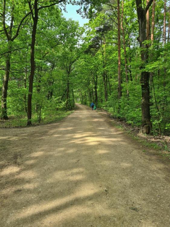 Utwardzona droga gruntowa biegnie przez zielony las, w oddali idzie dziecko z dużym workiem